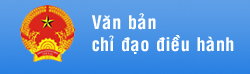 Văn bản chỉ đạo điều hành